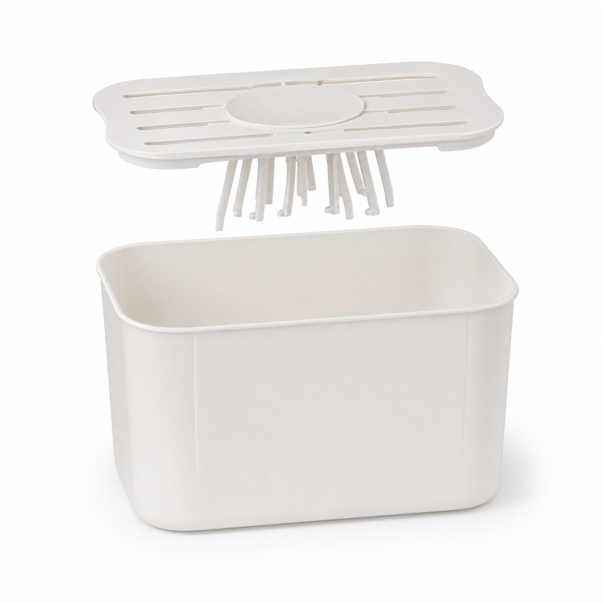 Custom Logo Divided Fruit and Salad Storage Box